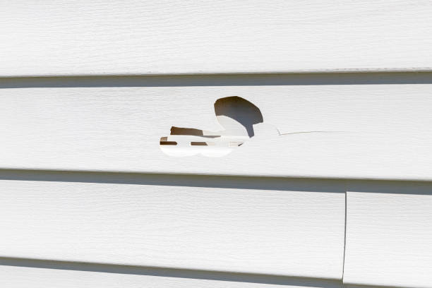 Best Aluminum Siding Installation  in Tladega, AL