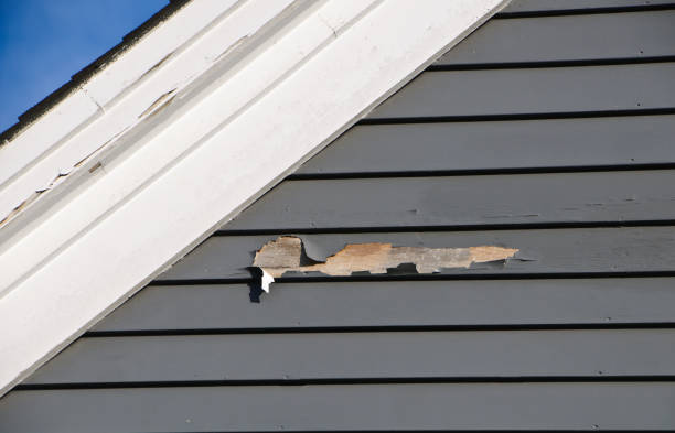 Best Siding for New Construction  in Tladega, AL