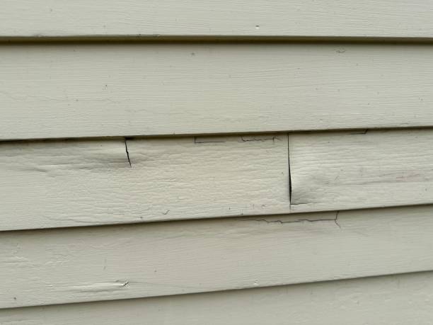 Best Siding for Commercial Buildings  in Tladega, AL